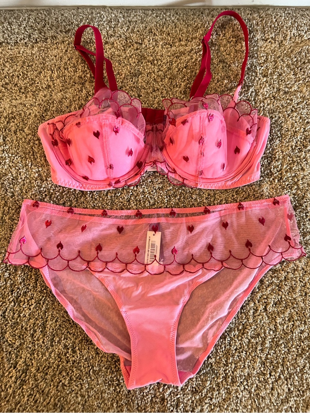 Adore Me Pink Sheer Heart Embroidered Balconette Bra & Bikini Set
